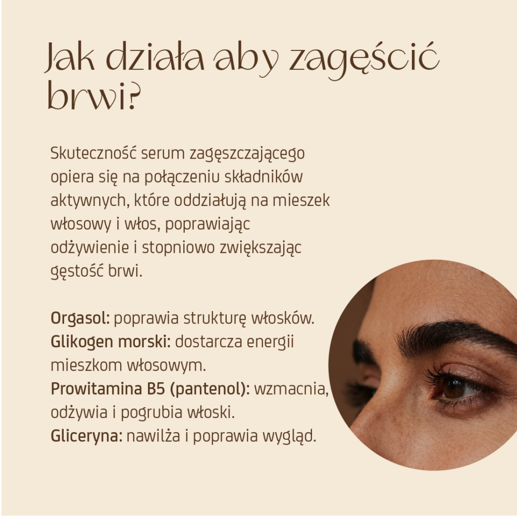 Serum do brwi + szczoteczka